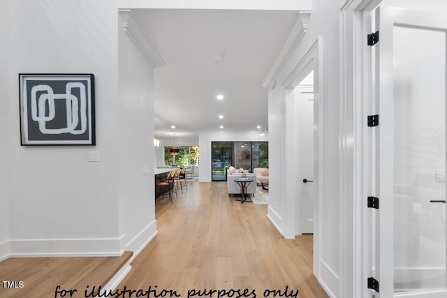 hall featuring light hardwood / wood-style floors