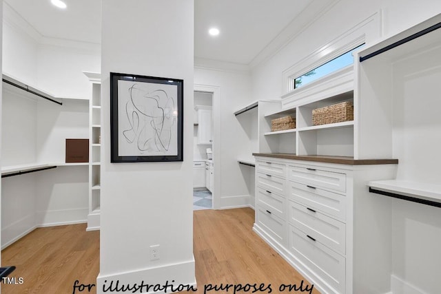 walk in closet with light hardwood / wood-style flooring and a barn door