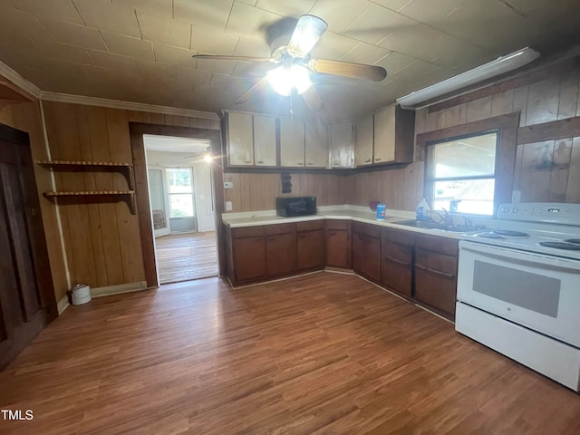 kitchen featuring sink, ceiling fan, light hardwood / wood-style flooring, wooden walls, and electric stove