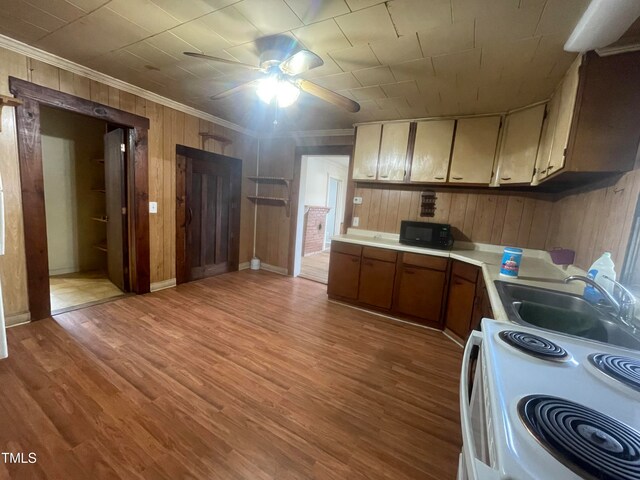 kitchen with light wood-type flooring, wooden walls, sink, and electric range