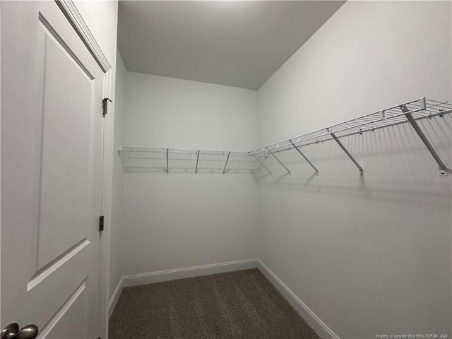 walk in closet featuring dark carpet