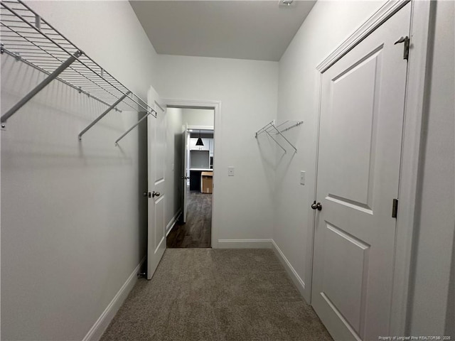 walk in closet with dark colored carpet