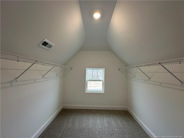 walk in closet with carpet floors, visible vents, and vaulted ceiling