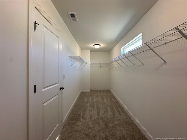 spacious closet featuring carpet flooring and visible vents