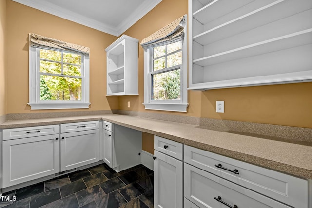 laundry room with ornamental molding and a healthy amount of sunlight