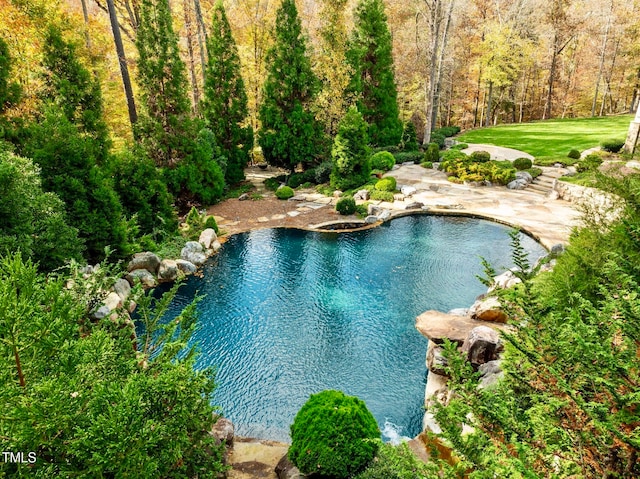 view of swimming pool featuring a lawn