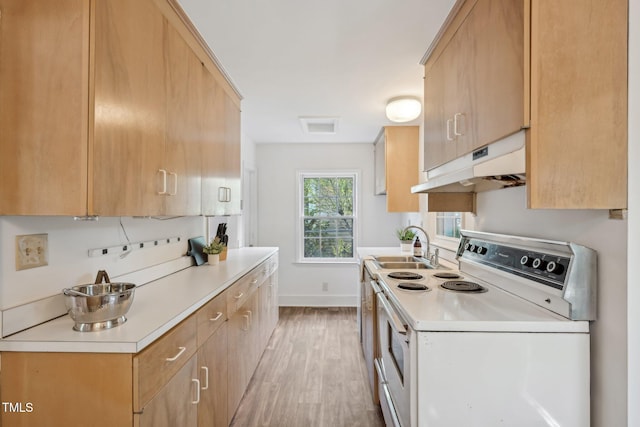 1316 Glenwood Ave, Raleigh, NC 27605 - kitchen with a sink, light wood-style floors, light countertops, under cabinet range hood, and electric stove
