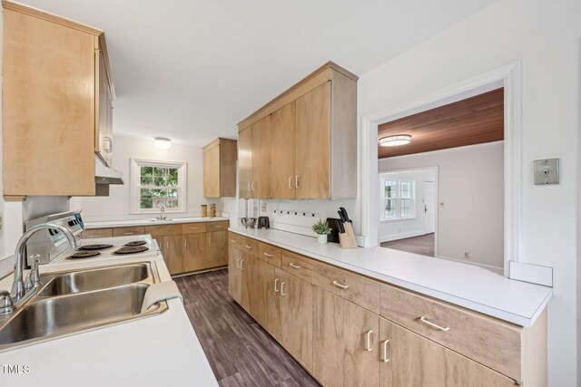1316 Glenwood Ave, Raleigh, NC 27605 - kitchen featuring white electric stove, dark wood-style flooring, a sink, light countertops, and under cabinet range hood