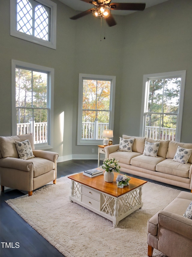 living room featuring hardwood / wood-style floors, a towering ceiling, and a healthy amount of sunlight