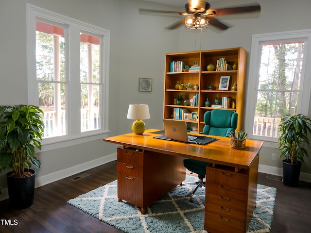 office with ceiling fan, a wealth of natural light, and dark hardwood / wood-style floors