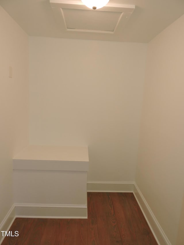 walk in closet featuring dark hardwood / wood-style flooring