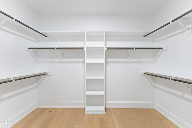 spacious closet with hardwood / wood-style flooring