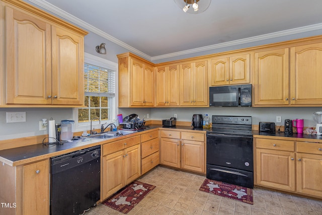 kitchen featuring crown molding, sink, and black appliances