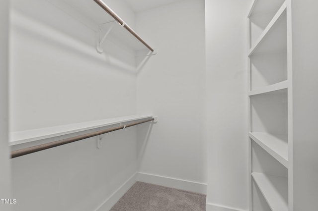 walk in closet featuring carpet flooring