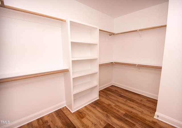 walk in closet featuring dark hardwood / wood-style flooring