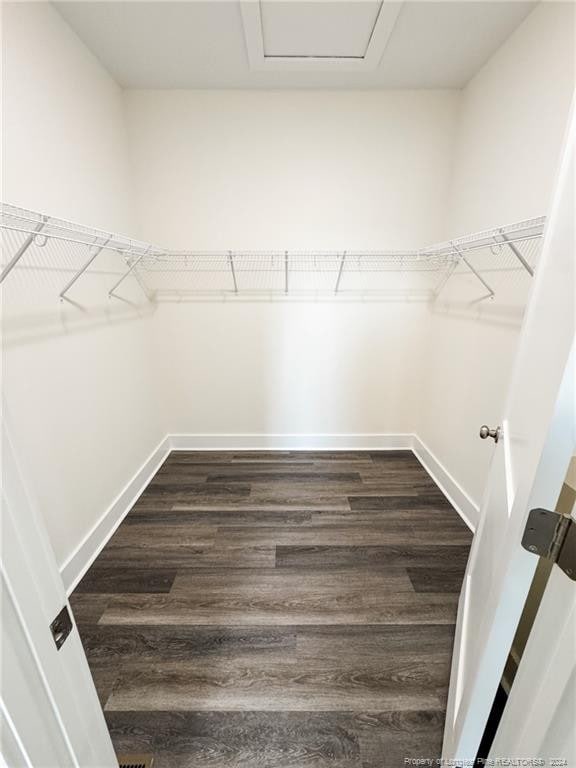 walk in closet featuring dark hardwood / wood-style floors