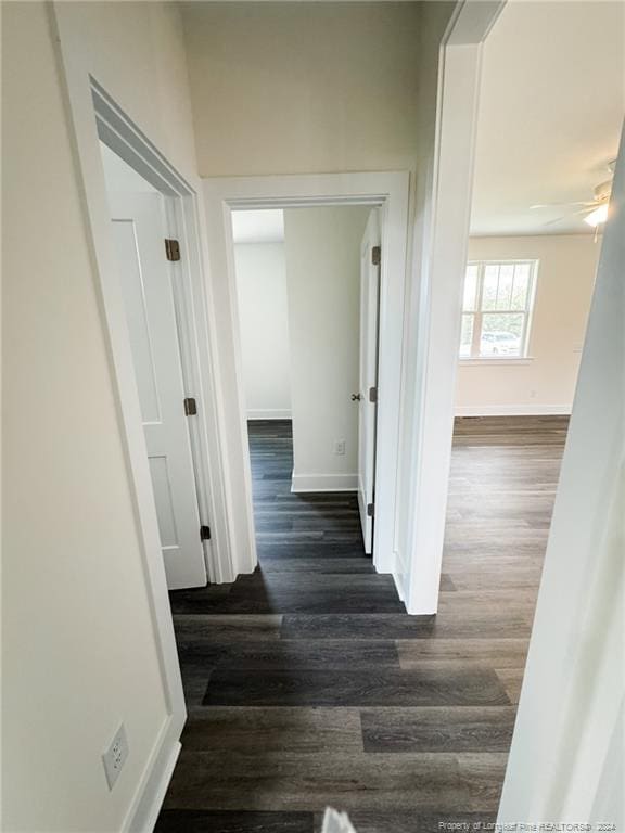 hall featuring dark hardwood / wood-style flooring