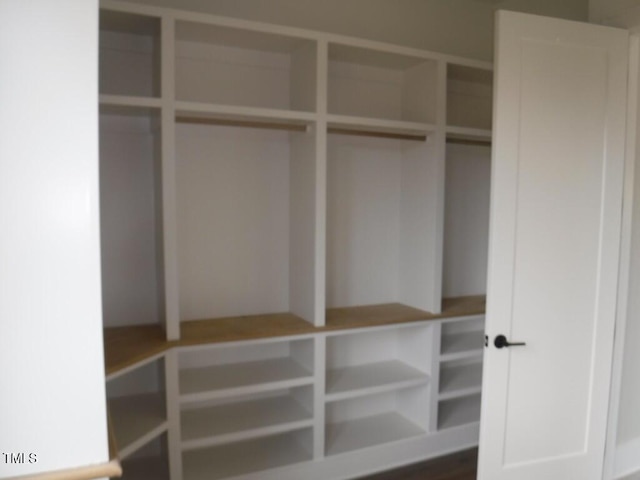 view of closet