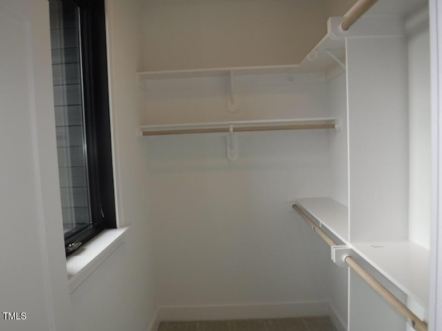 view of walk in closet