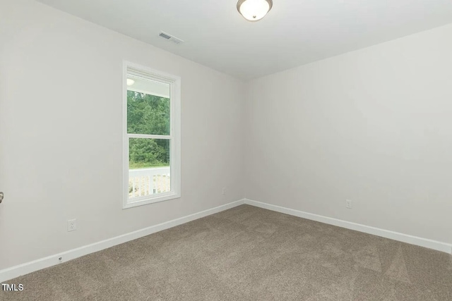 carpeted spare room with a wealth of natural light