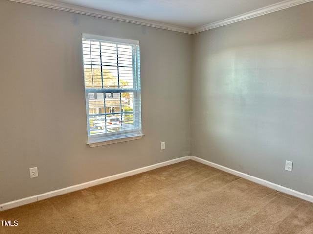 carpeted empty room featuring crown molding