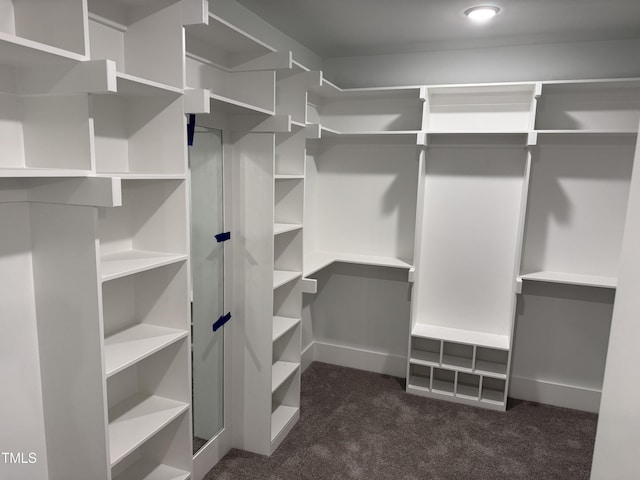 122 Sanderway Dr, Chapel Hill, NC 27516 - spacious closet featuring dark colored carpet