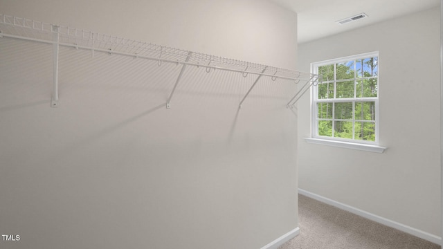 spacious closet with carpet flooring