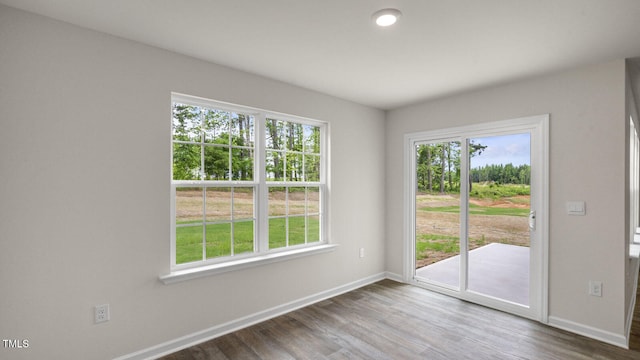 spare room with wood-type flooring