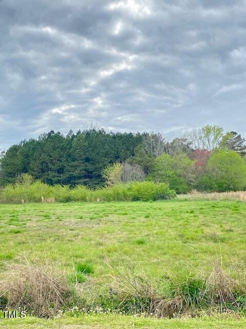 0 Rr St, Micro, NC 27555 - photo 3