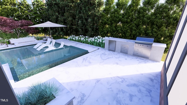 216 Dartmouth Rd, Raleigh, NC 27609 - view of swimming pool with area for grilling and a patio