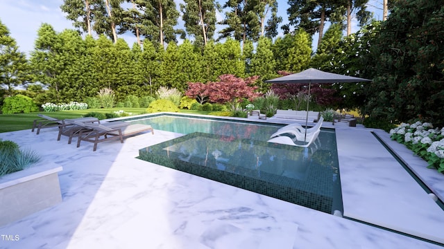 216 Dartmouth Rd, Raleigh, NC 27609 - swimming pool with a patio area and view of scattered trees