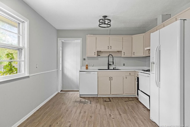 kitchen featuring light wood-type flooring, white appliances, sink, and cream cabinetry