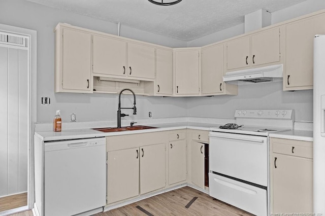 kitchen featuring a textured ceiling, light hardwood / wood-style flooring, sink, and white appliances