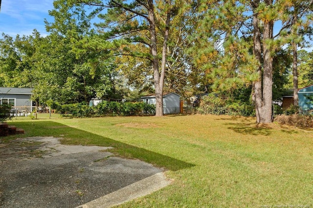 view of yard with a storage unit