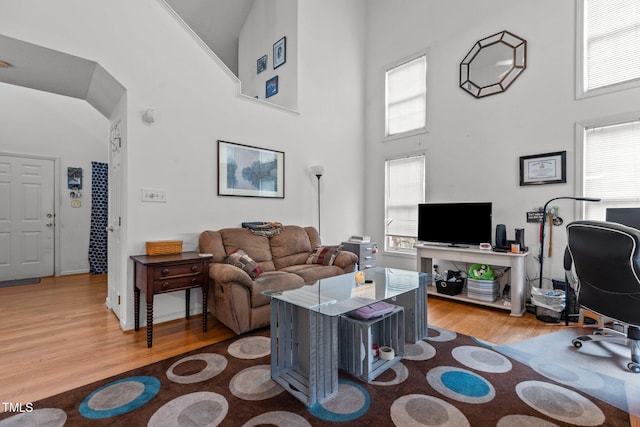 living room with a high ceiling, a wealth of natural light, and wood-type flooring