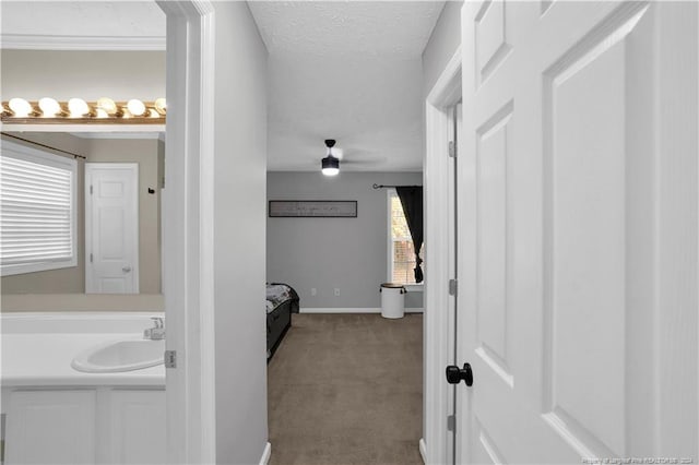 corridor featuring a textured ceiling, carpet flooring, and sink