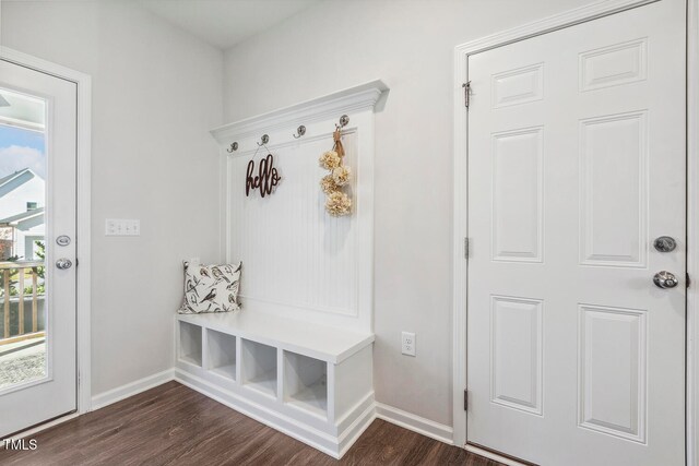 mudroom with dark hardwood / wood-style flooring