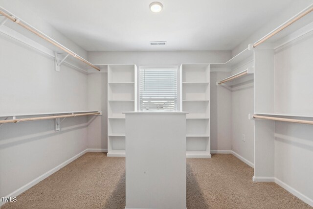 spacious closet with light carpet