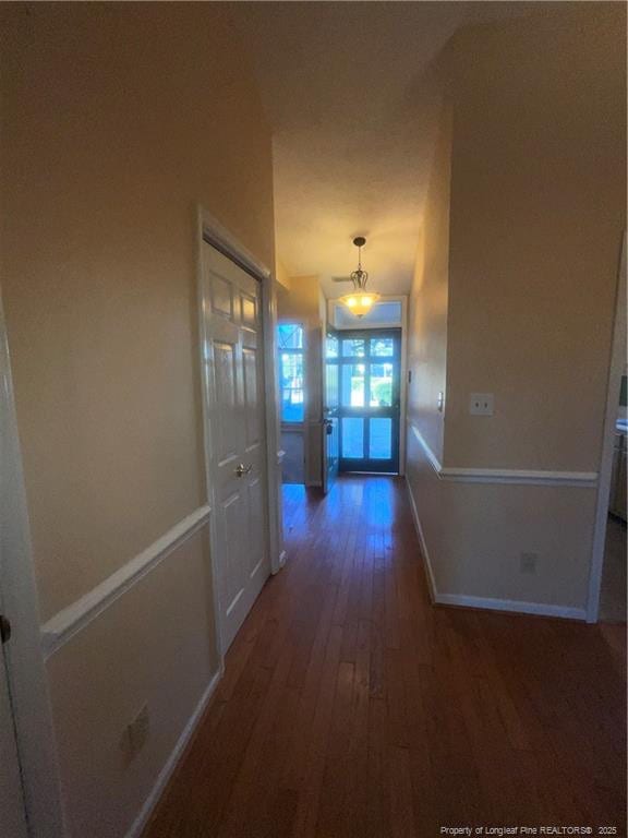 hall featuring dark hardwood / wood-style floors