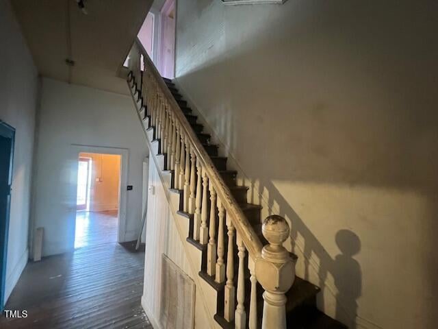 staircase with hardwood / wood-style flooring