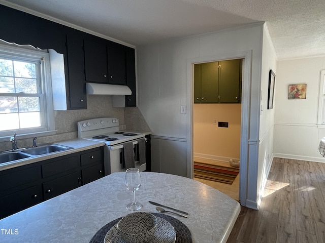 kitchen with under cabinet range hood, dark cabinetry, electric stove, wood finished floors, and a sink