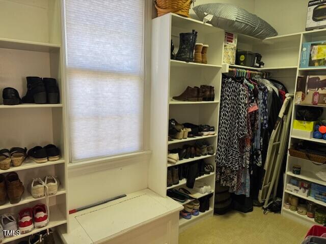 spacious closet featuring carpet floors