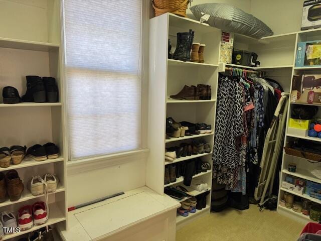 2012 Silverleaf Dr, Youngsville, NC 27596 - walk in closet with carpet