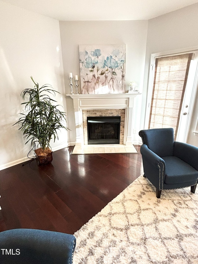 living room featuring a fireplace and wood-type flooring