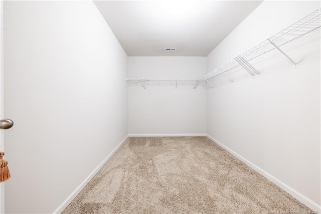 spacious closet with light carpet