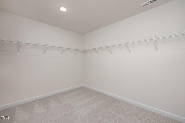 spacious closet featuring carpet