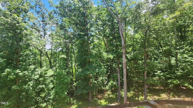 286 W Beech Slope Ct, Chapel Hill, NC 27517 - view of undeveloped land