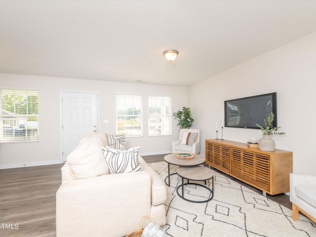 living room with hardwood / wood-style floors