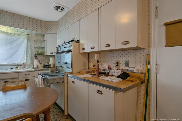 kitchen with white cabinetry