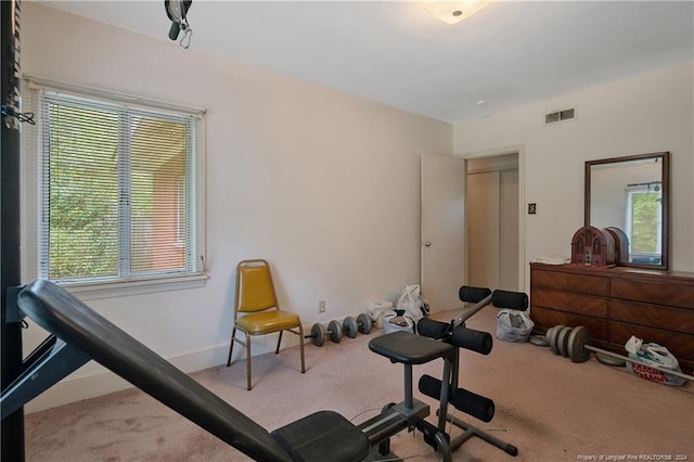 exercise room featuring light carpet